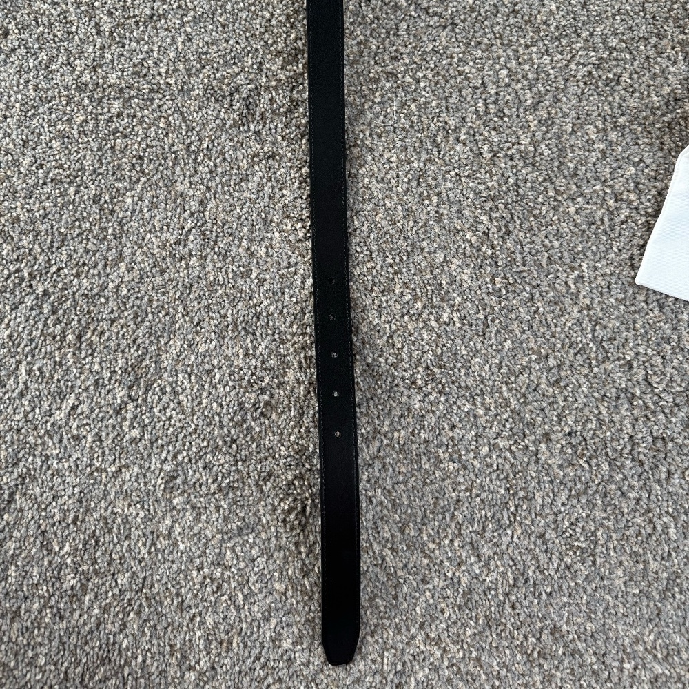 Aritzia Accent Solid Brass Leather Belt - Picture 9 of 11